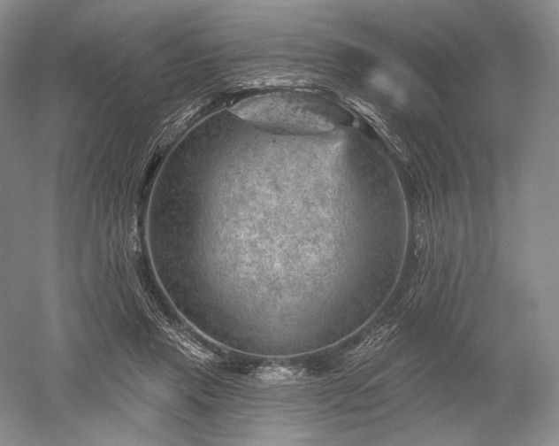 X0000052640453200507082010