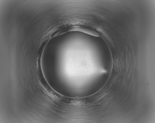 X0000052640454200507082010