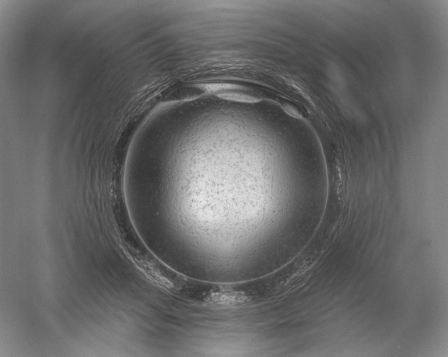 X0000052640455200507082010