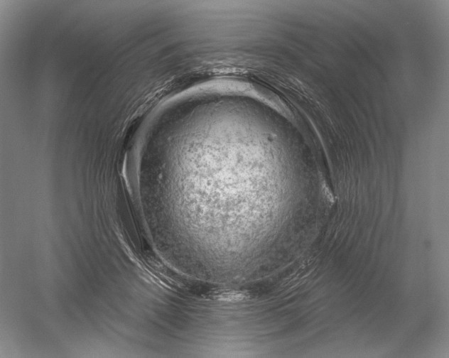 X0000052640456200507082010