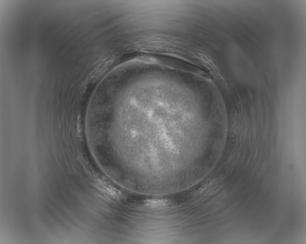 X0000052640457200507082010