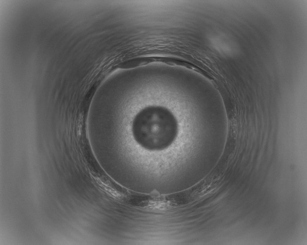 X0000052640458200507082010