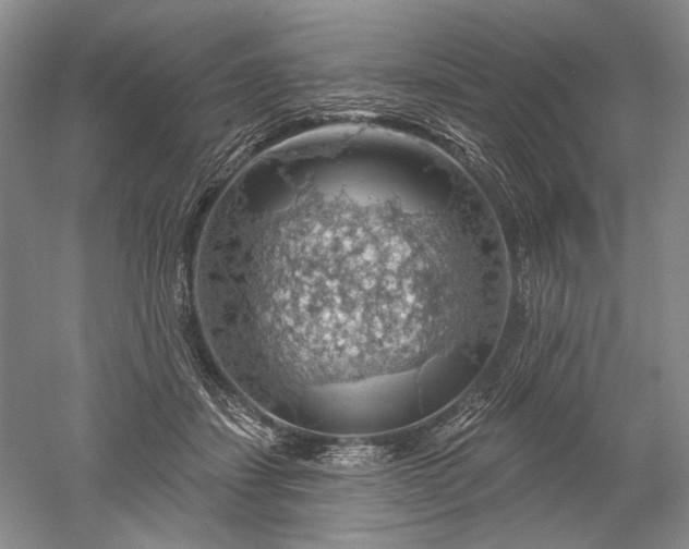 X0000052640459200507082010