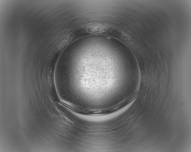 X0000052640460200507082010