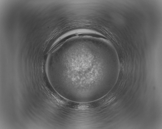 X0000052640462200507082010