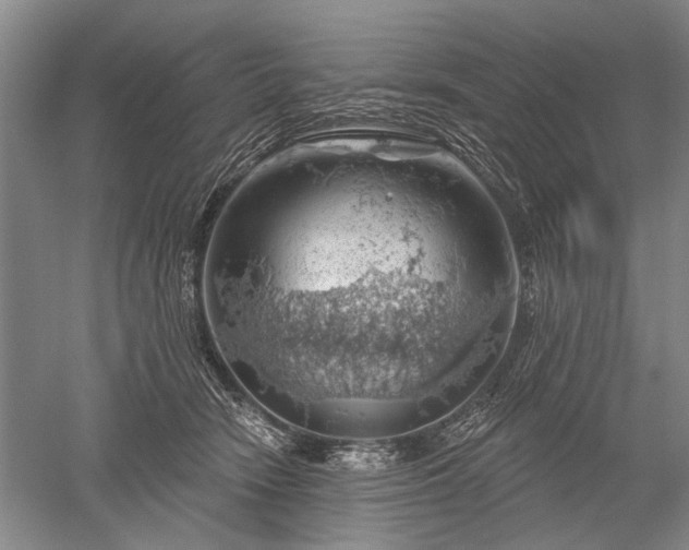 X0000052640466200507082010