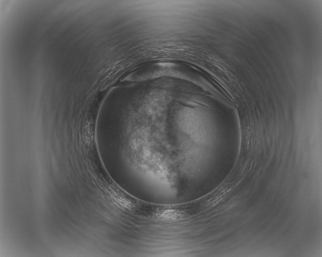 X0000052640467200507082010