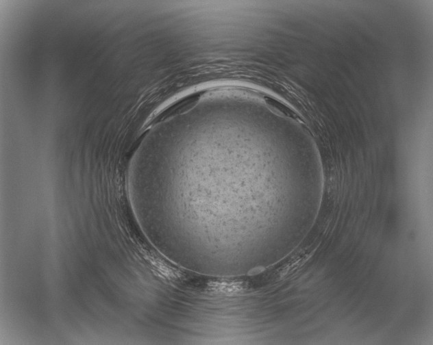 X0000052640469200507082010