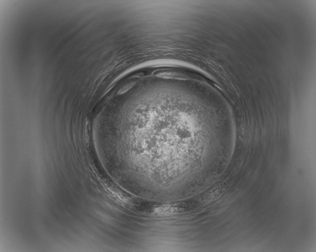 X0000052640470200507082010