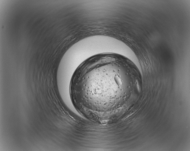 X0000052640471200507082010
