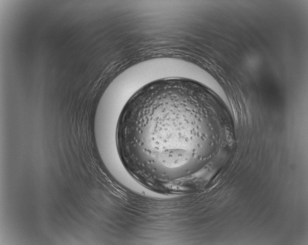 X0000052640473200507082010