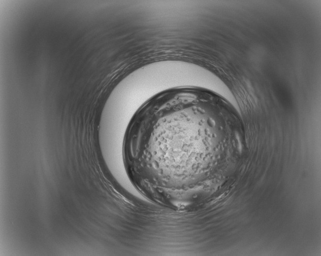 X0000052640474200507082010