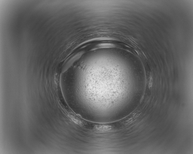 X0000052640476200507082010