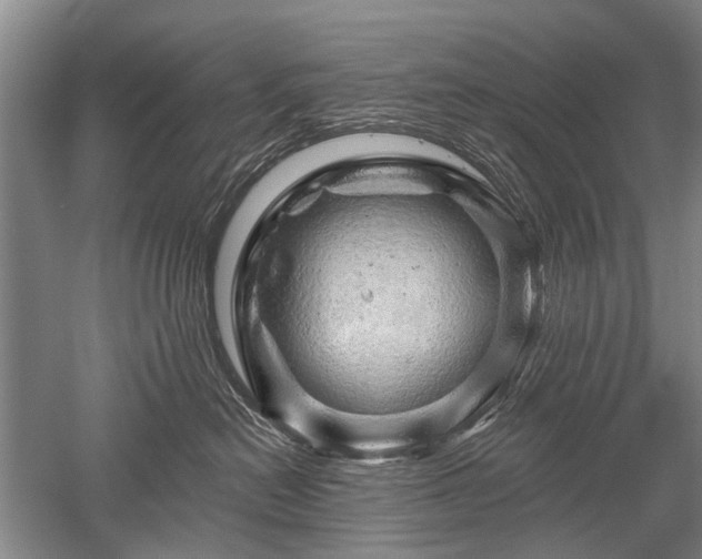 X0000052640478200507082010