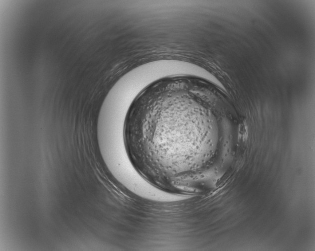 X0000052640479200507082010