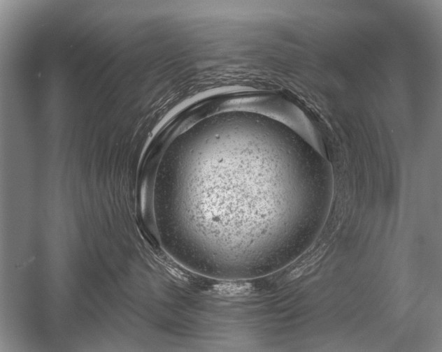 X0000052640480200507082010