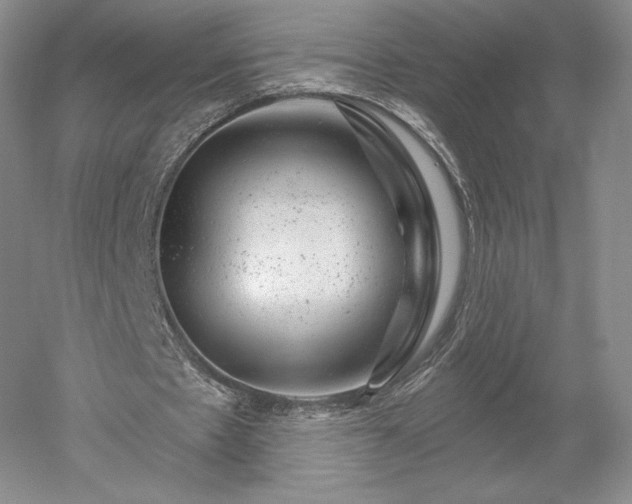 X0000052640481200507082009