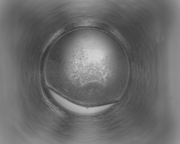 X0000052640482200507082009