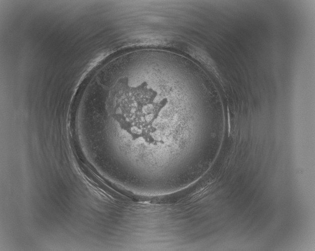 X0000052640483200507082009