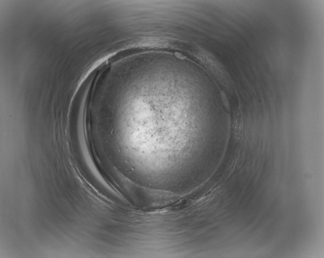 X0000052640484200507082009