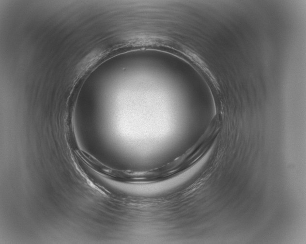 X0000052640485200507082009