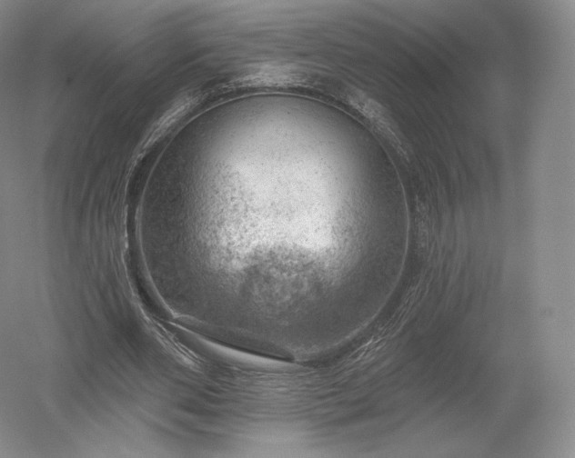 X0000052640486200507082009