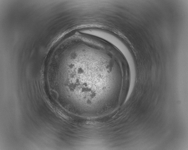 X0000052640487200507082009