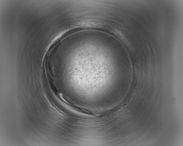 X0000052640488200507082009