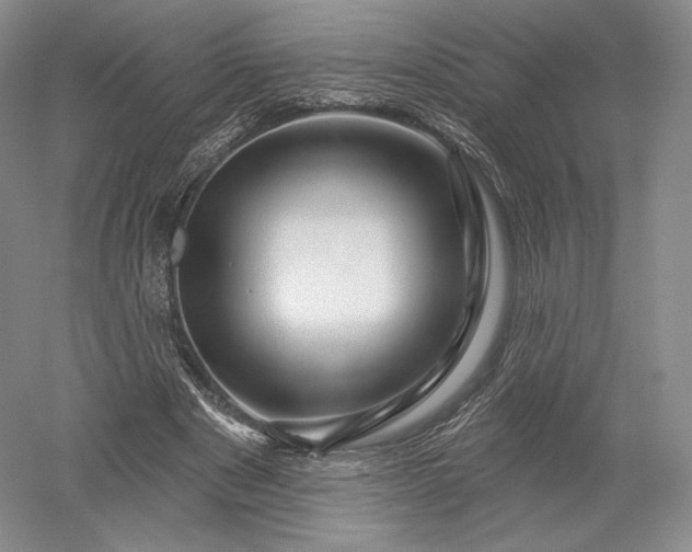 X0000052640489200507082009