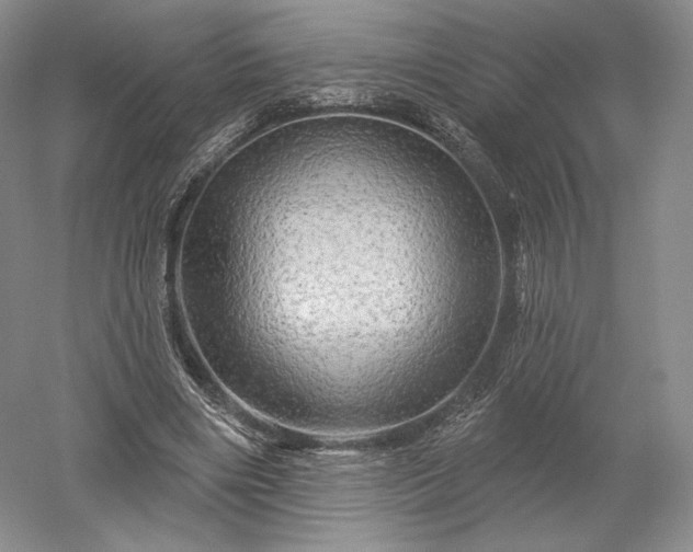 X0000052640490200507082009