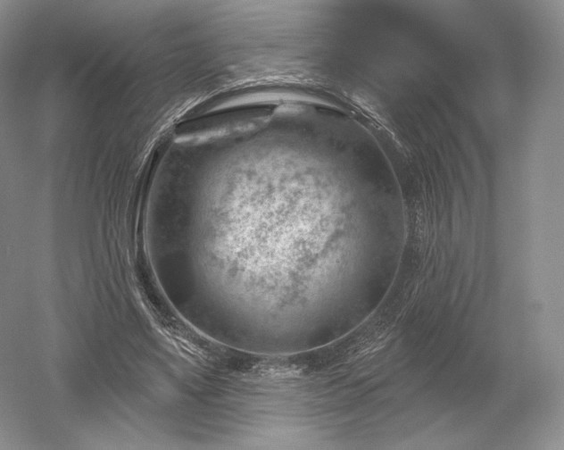 X0000052640491200507082009