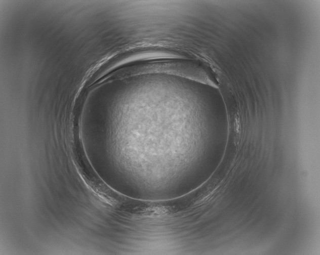 X0000052640492200507082009