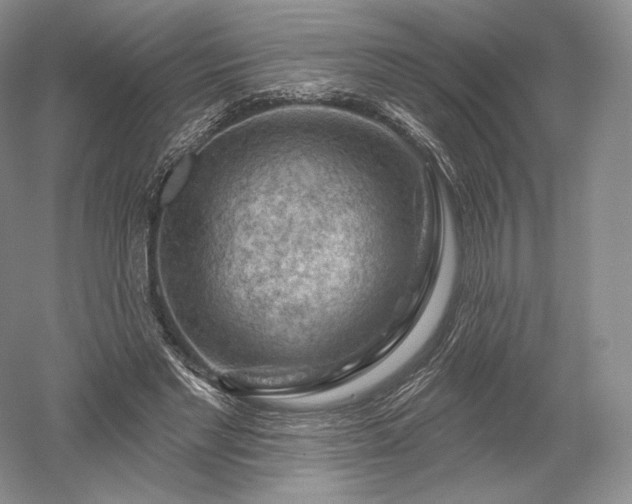 X0000052640493200507082009