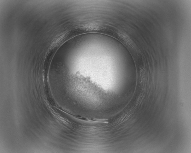 X0000052640494200507082009