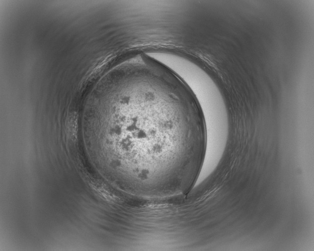 X0000052640495200507082009