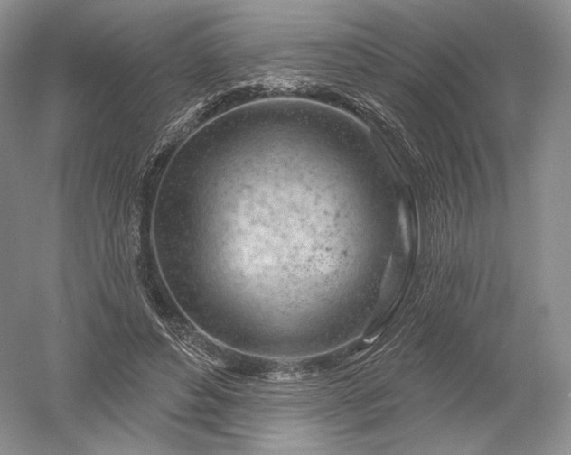 X0000052640496200507082009