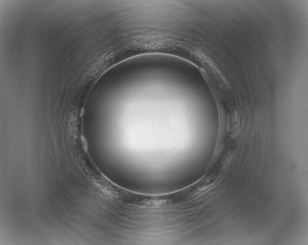 X0000052640497200507082009