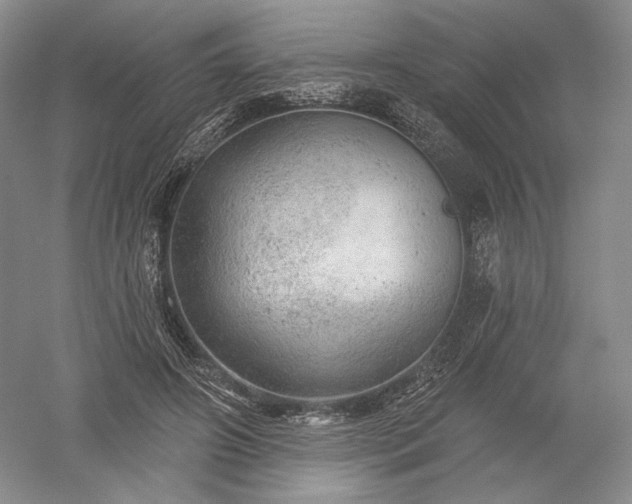 X0000052640498200507082009