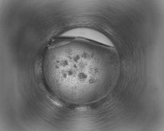 X0000052640499200507082009