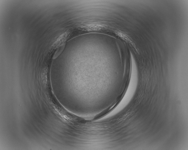 X0000052640501200507082009