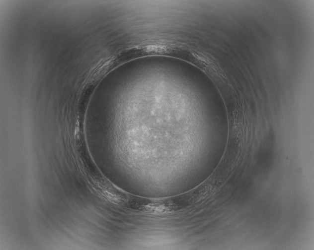 X0000052640502200507082009