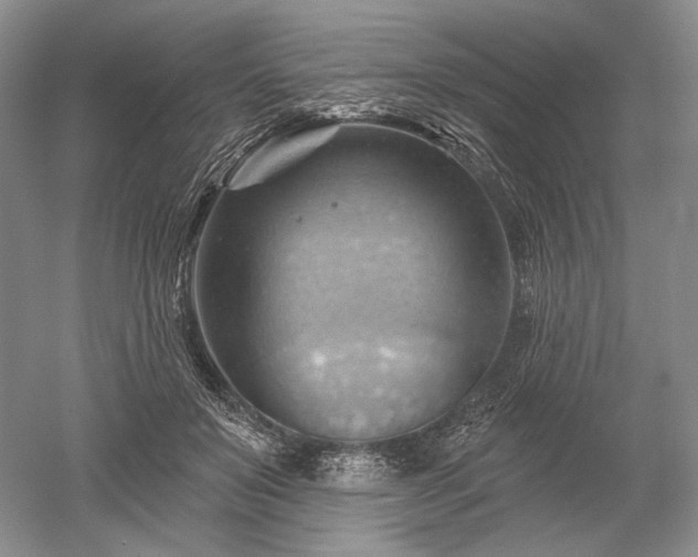 X0000052640503200507082009