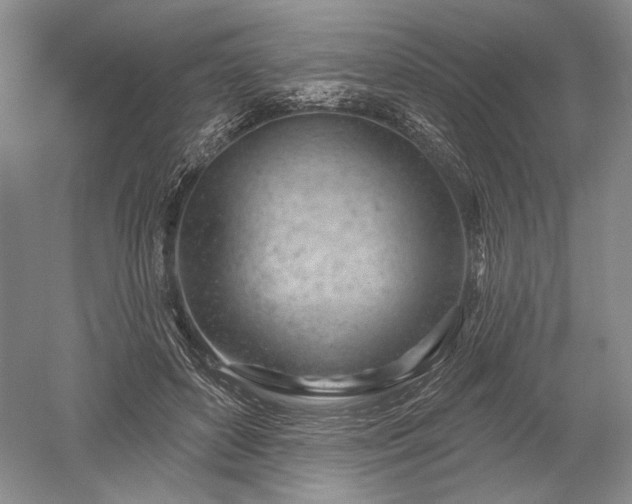 X0000052640504200507082009