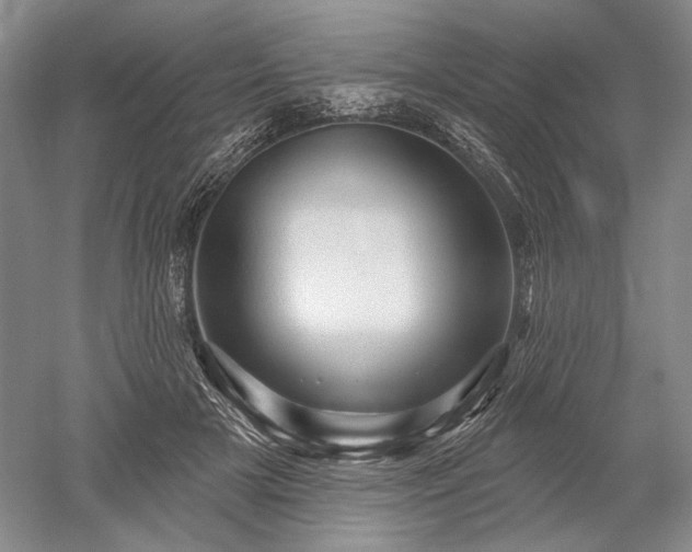 X0000052640505200507082009