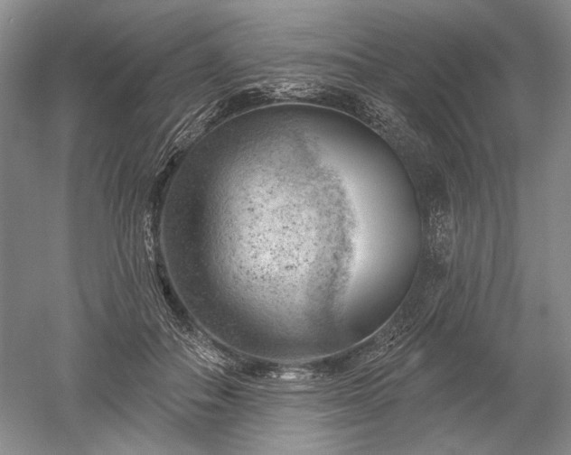 X0000052640506200507082009