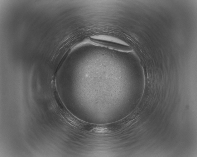 X0000052640507200507082009