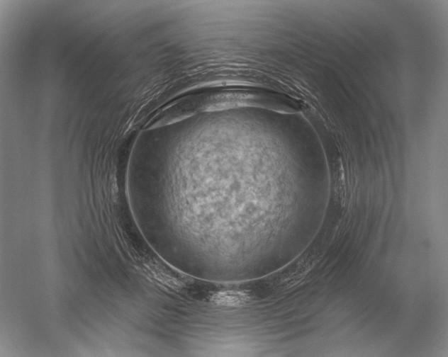 X0000052640508200507082009