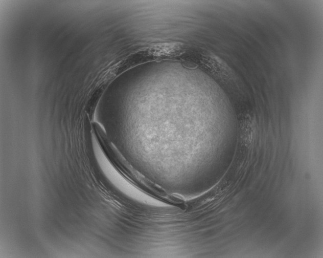 X0000052640510200507082009