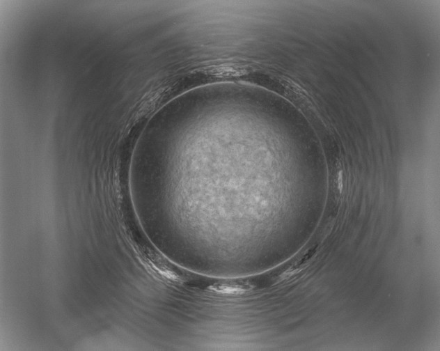 X0000052640512200507082009