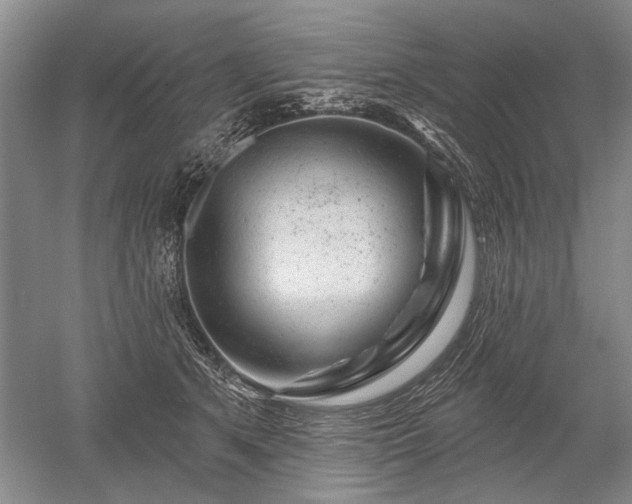 X0000052640513200507082009